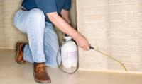 Fair Dinkum Carpet and Pest - Pest Control Buderim image 5